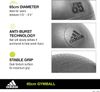 BÓNG ADIDAS 65CM ADBL-11246GR