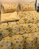 Bộ Drap & Chăn Chần Cotton 86B 2007 (5 Món) 160X200