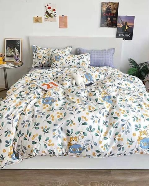 Bộ Drap & Chăn Chần Cotton 180X200 (5 Món) 2011