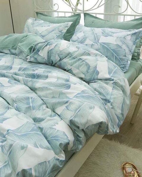 Bộ Drap & Chăn Chần Cotton 180X200 (5 Món) 2011