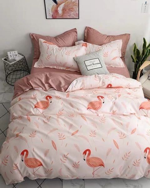 Bộ Drap & Chăn Chần Cotton 180X200 (5 Món) 2011