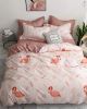 Bộ Drap & Chăn Chần Cotton 180X200 (5 Món) 2011