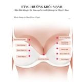 Máy Massage Nở Ngực JOOU DS-8802 Tia Hồng Ngoại, chườm ấm
