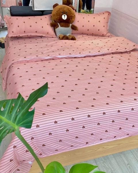 Bộ Drap & Chăn Chần Cotton Bygu 160X200 (5 Món)