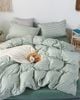Bộ Drap & Chăn Chần Cotton Bygu 160X200 (5 Món) 1003