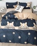 BG18P-Bộ Drap & Chăn Chần Cotton Bygu 180X200 (5 Món)