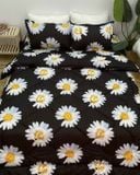 BG18P-Bộ Drap & Chăn Chần Cotton Bygu 180X200 (5 Món)