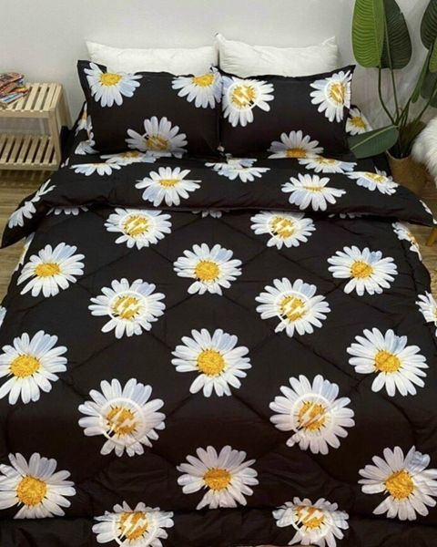 Bộ Drap & Chăn Chần Cotton Bygu 180X200 (5 Món) - BG18P