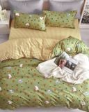 BG18P-Bộ Drap & Chăn Chần Cotton Bygu 180X200 (5 Món)