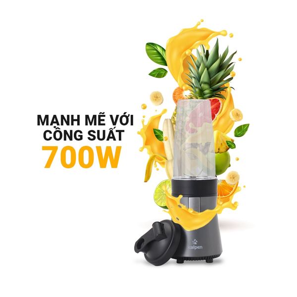 Máy Xay Sinh Tố Kalpen B5 Công Suất 700W