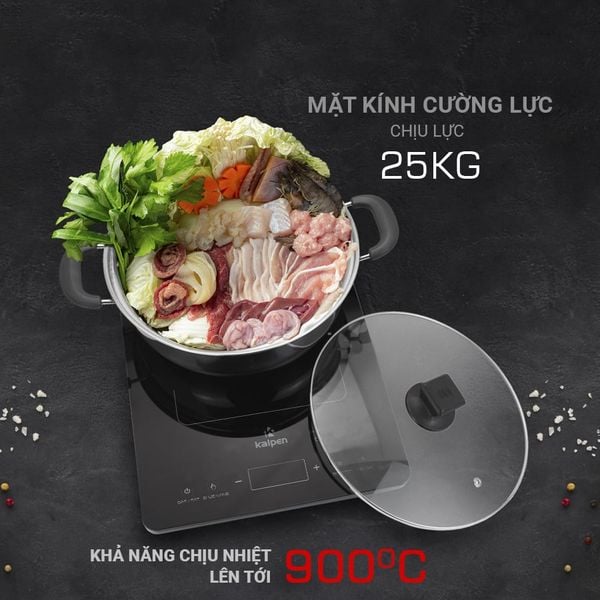 Bếp từ đơn Kalpen ICK-1668