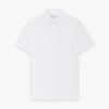 Áo Polo cotton thoáng mát tay ngắn- P12