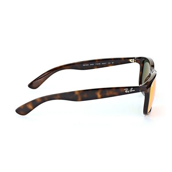 Kính mát Rayban RB4202F 710/6S