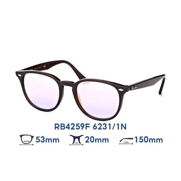 Kính mát Rayban RB4259F 6231/1N