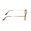 Kính mát Rayban RB4292N 6327/E4