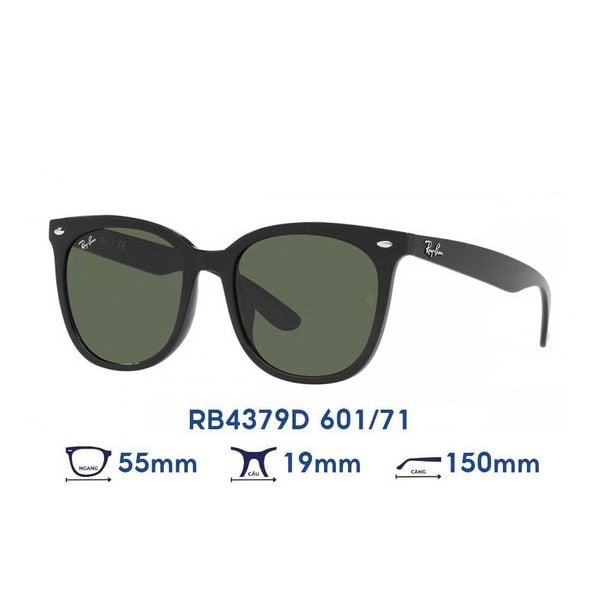 Kính Mát RAYBAN RB4379D 601/71