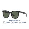 Kính Mát RAYBAN RB4379D 601/71