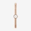 Đồng hồ Nữ SKAGEN SIGNATUR SKW2619