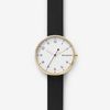 Đồng hồ Nữ SKAGEN SIGNATUR SKW2626