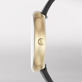 Đồng hồ Nữ SKAGEN SIGNATUR SKW2626