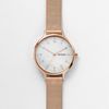 Đồng hồ Nữ SKAGEN ANITA SKW2633