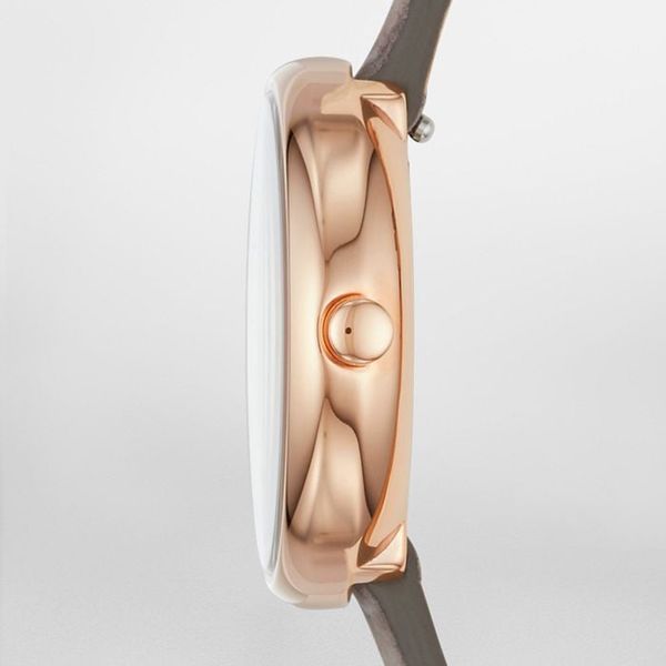 Đồng hồ Nữ SKAGEN SIGNATUR SKW2644