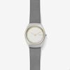 Đồng hồ Nữ SKAGEN ASTA SKW2654