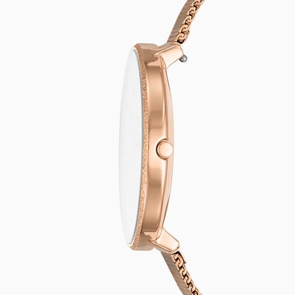 Đồng hồ Nữ SKAGEN KAROLINA SKW2726