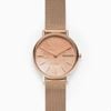 Đồng hồ Nữ SKAGEN SIGNATUR SKW2732
