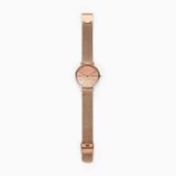 Đồng hồ Nữ SKAGEN SIGNATUR SKW2732