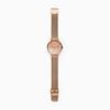Đồng hồ Nữ SKAGEN SIGNATUR SKW2732