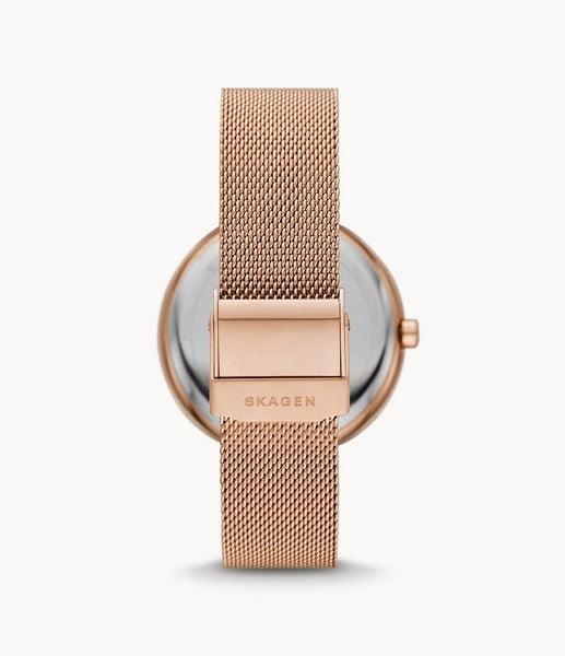Đồng hồ Nữ SKAGEN KAROLINA SKW2980