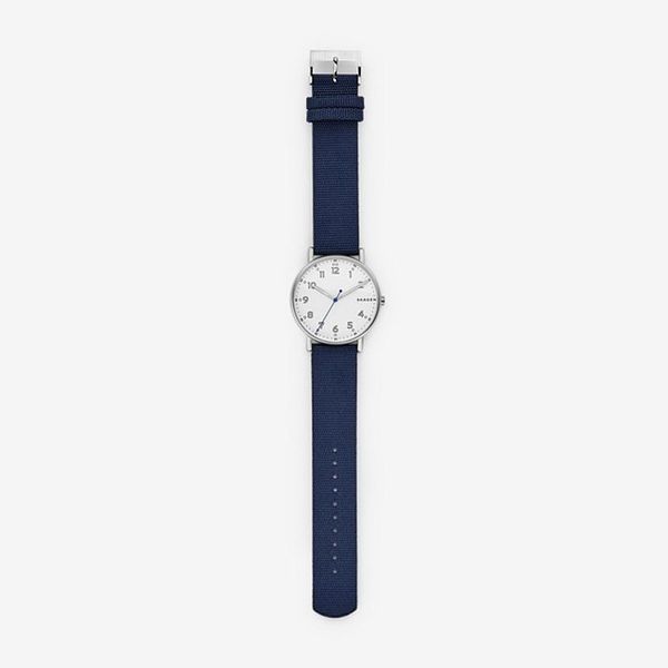 Đồng hồ Nam SKAGEN SIGNATUR SKW6356