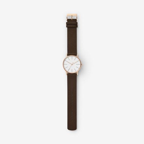 Đồng hồ Nam SKAGEN SIGNATUR SKW6431