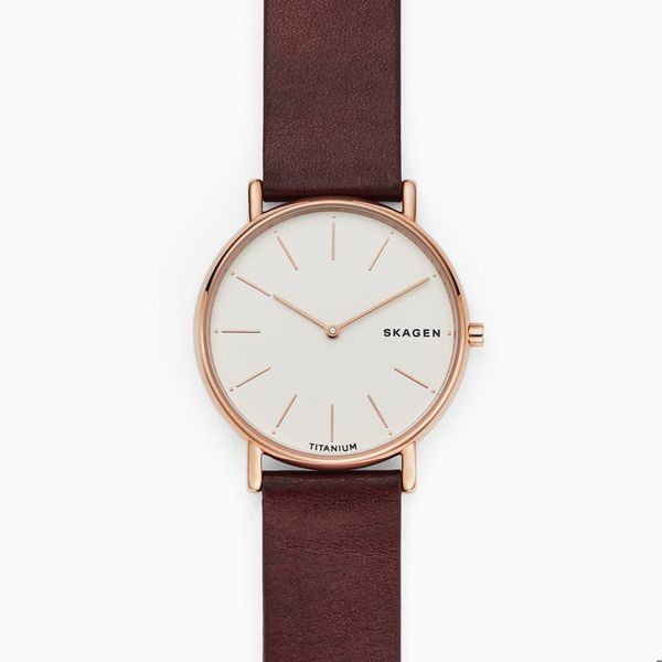 Đồng hồ Nam SKAGEN SIGNATUR SKW8600