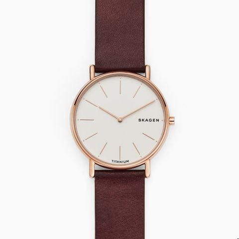 Đồng hồ Nam SKAGEN SIGNATUR SKW8600