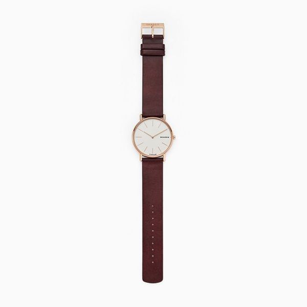 Đồng hồ Nam SKAGEN SIGNATUR SKW8600