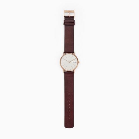 Đồng hồ Nam SKAGEN SIGNATUR SKW8600