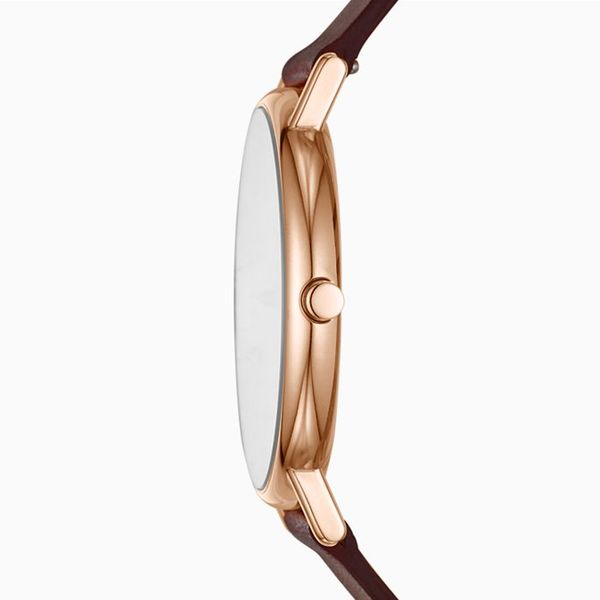 Đồng hồ Nam SKAGEN SIGNATUR SKW8600