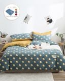 Bộ Drap & Chăn Chần Cotton Print 160x200 (4 Món)