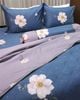 Bộ Drap & Vỏ Chăn 160x200 (5 Món)