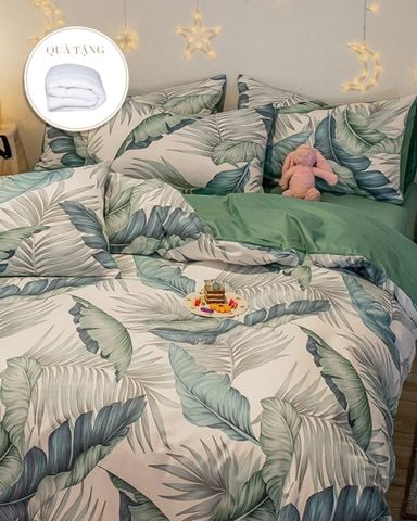 Bộ Drap & Vỏ Chăn Cotton Lụa 180x200 (4 Món