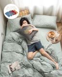 Bộ Drap & Chăn Chần Cotton L-Organic 160x200 (4 Món) (Tặng Khăn Mặt)