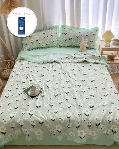 Bộ Drap & Chăn Chần Cotton Đũi 160x200 (4 Món ) CTD002