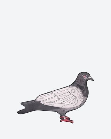 Thảm Trang Trí Pigeon