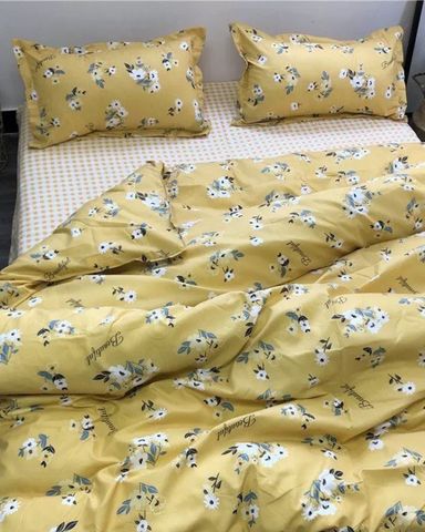 Bộ Drap & Chăn Chần Cotton Printing 160x200 (4 Món) P2014