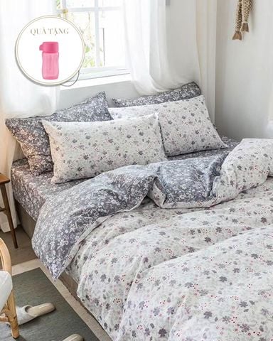 Bộ Drap & Chăn Chần Cotton Lụa 180x200 (4 Món)