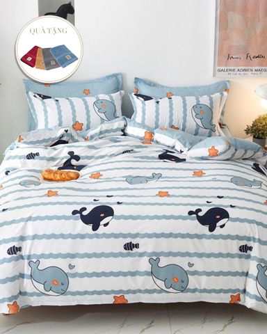 Bộ Drap & Chăn Chần Sweet Love 160x200 (5 Món )