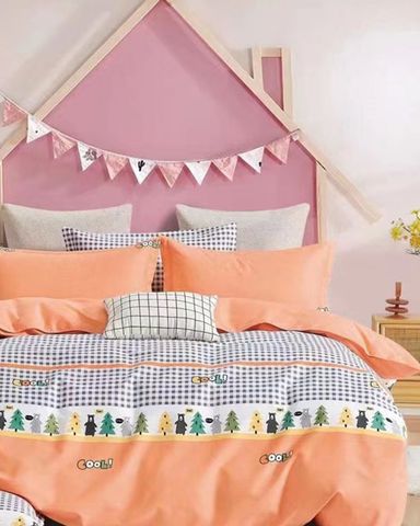 Bộ Drap Giường Queen 180x200 (4 Món) CA009