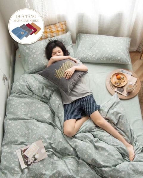 Bộ Drap & Chăn Chần Cotton L-Organic 160x200 (4 Món) (Tặng Khăn Mặt)